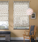 Decorative Roller Shades